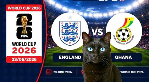Mysterious Cat Predicts Ghana vs England Match